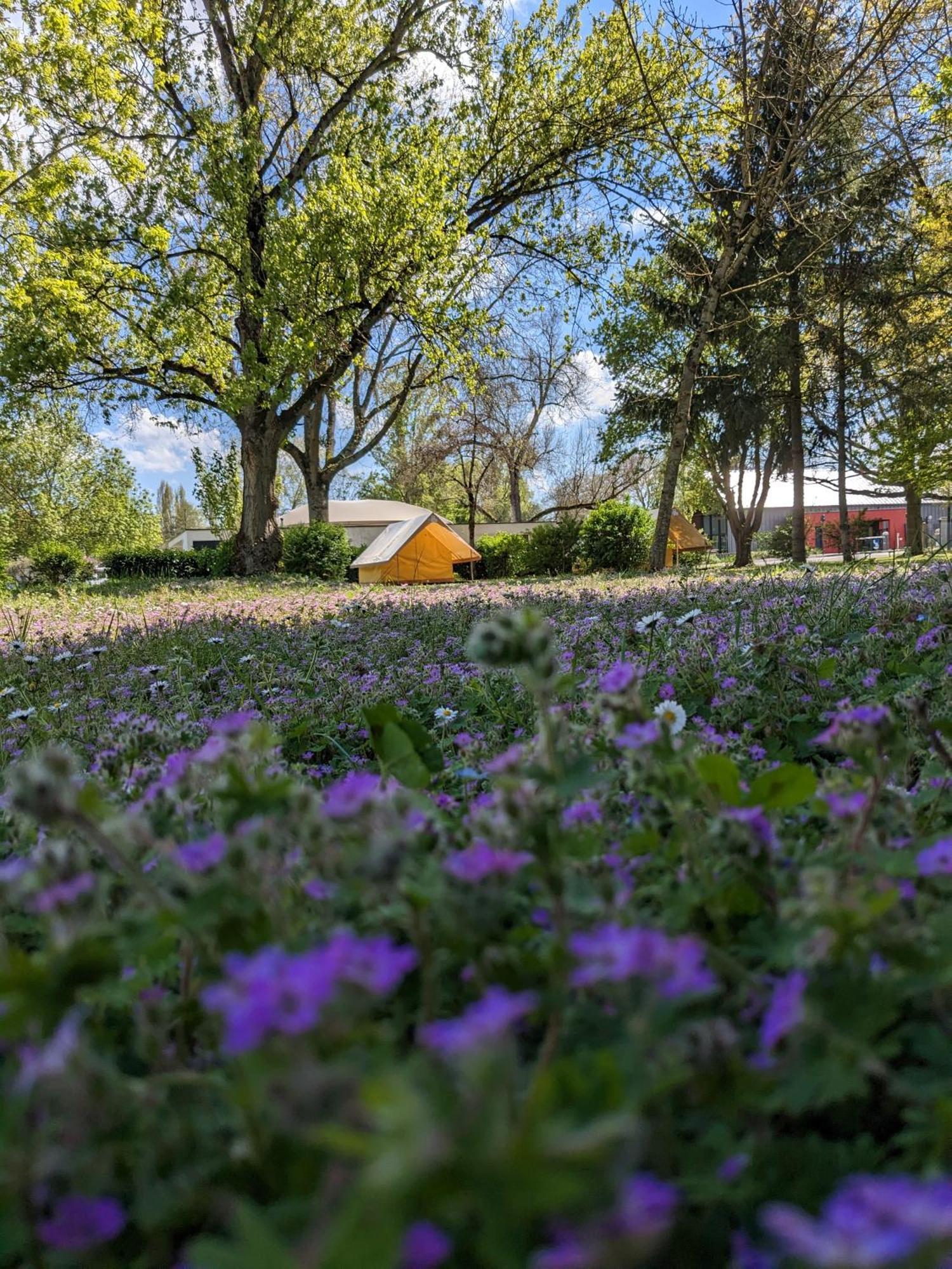 Camping Onlycamp Tours Val De Loire サン・タヴェルタン エクステリア 写真